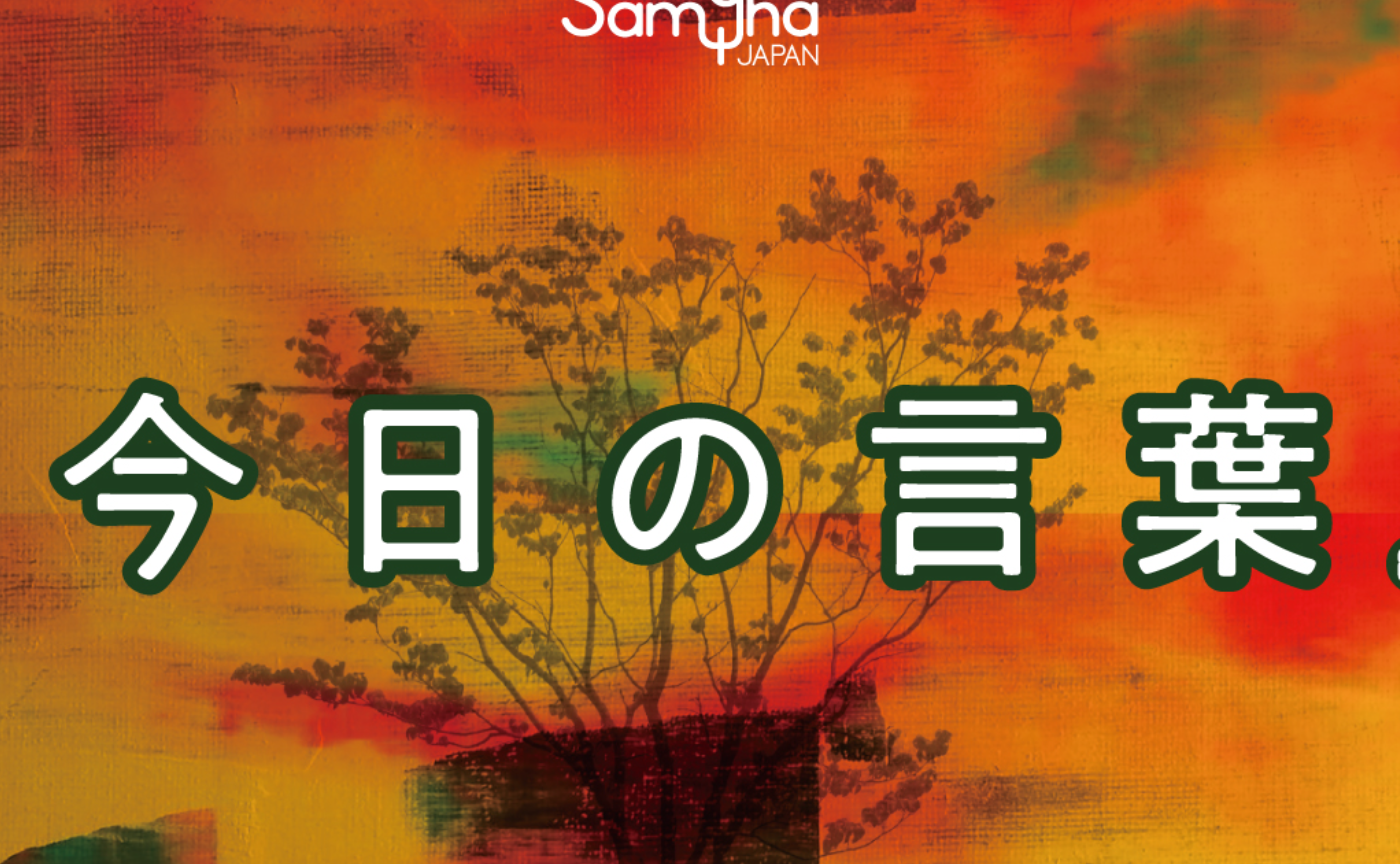 11月16日　今日の言葉　ああすればこうならない世界
