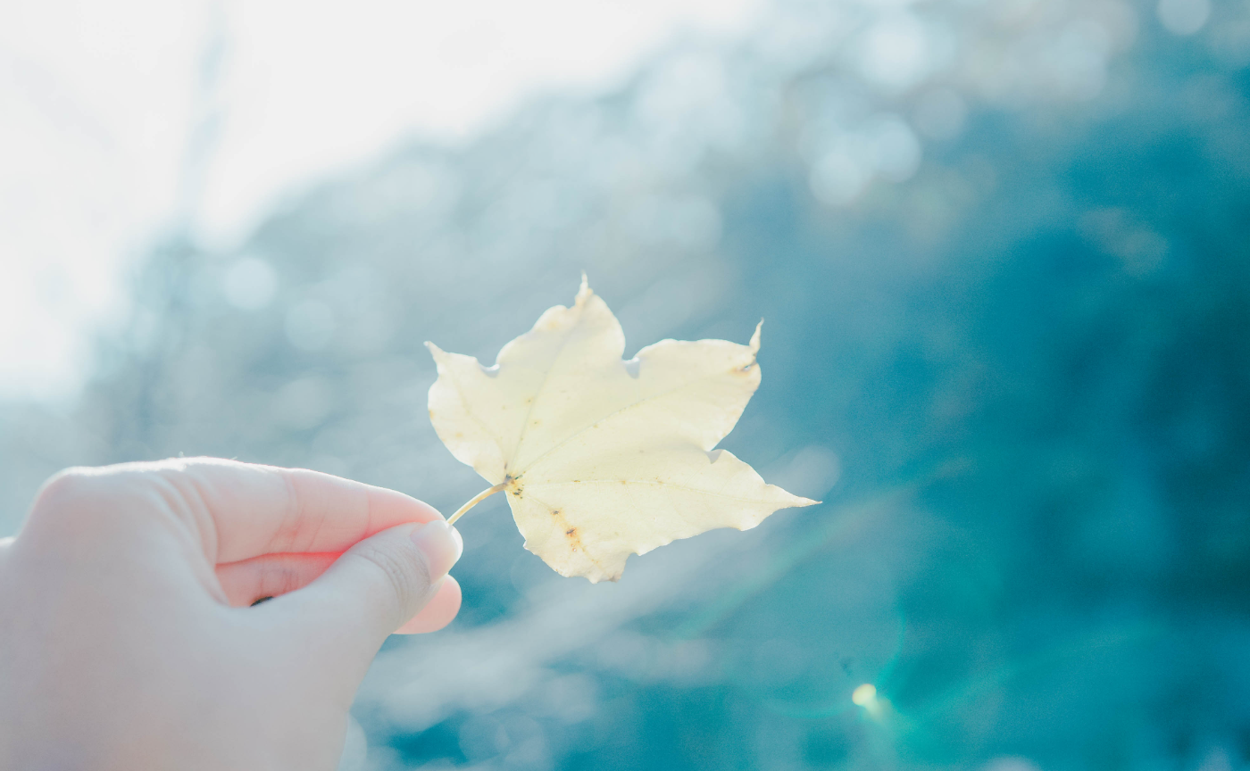 【岡山】岡山で、おいしいカメラ交流会！withよーこさん