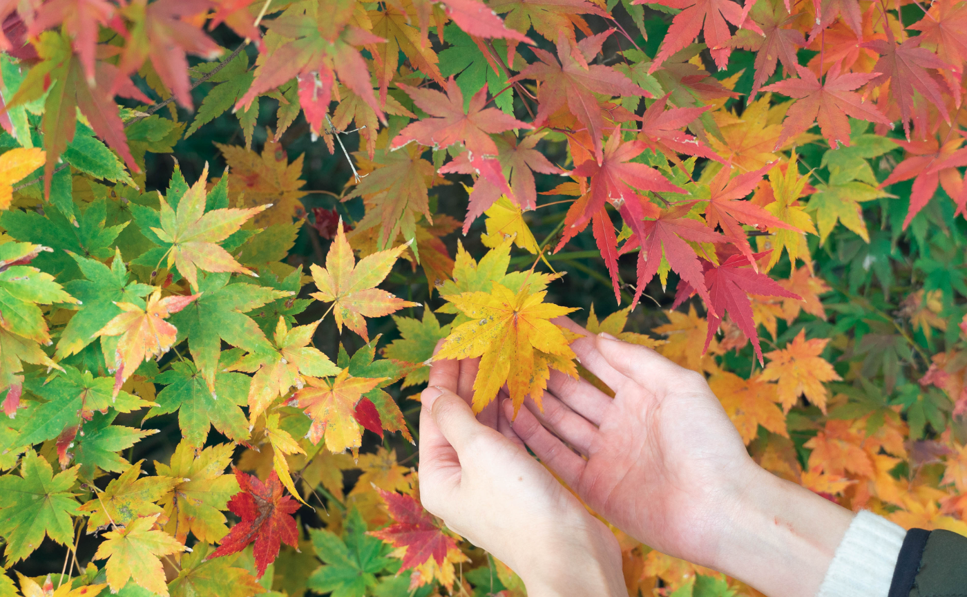 作品撮りプロジェクト！進捗作品の発表会＆新規メンバー募集