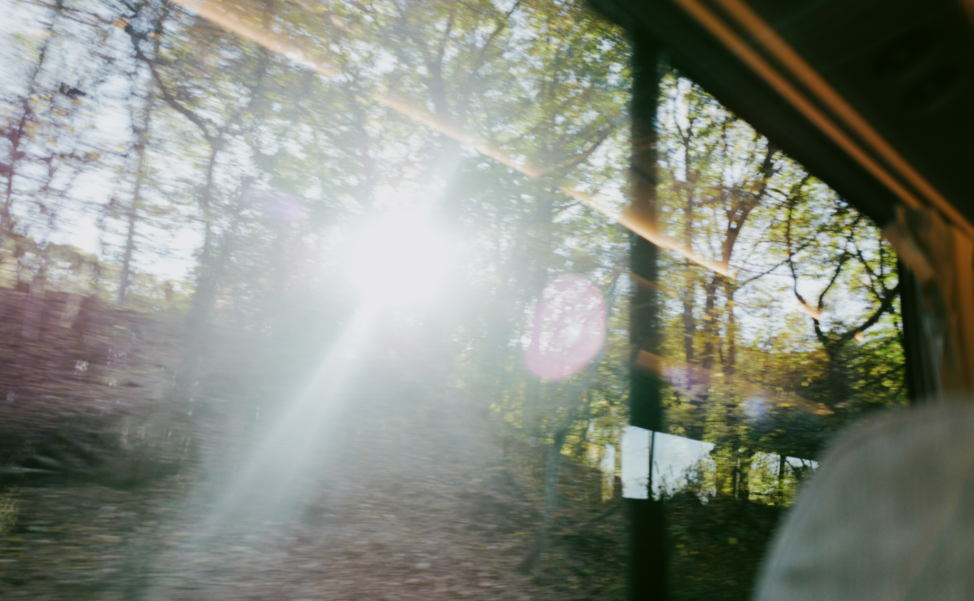 伝える写真塾！今月の課題「いのち」