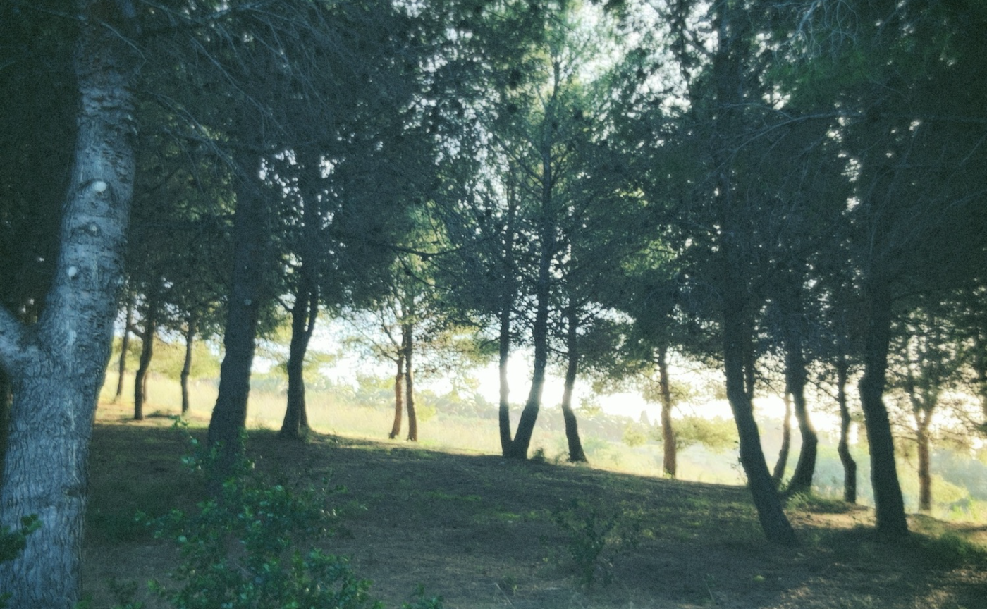 料理を詠み、ずらしていく - ままならず螺旋する