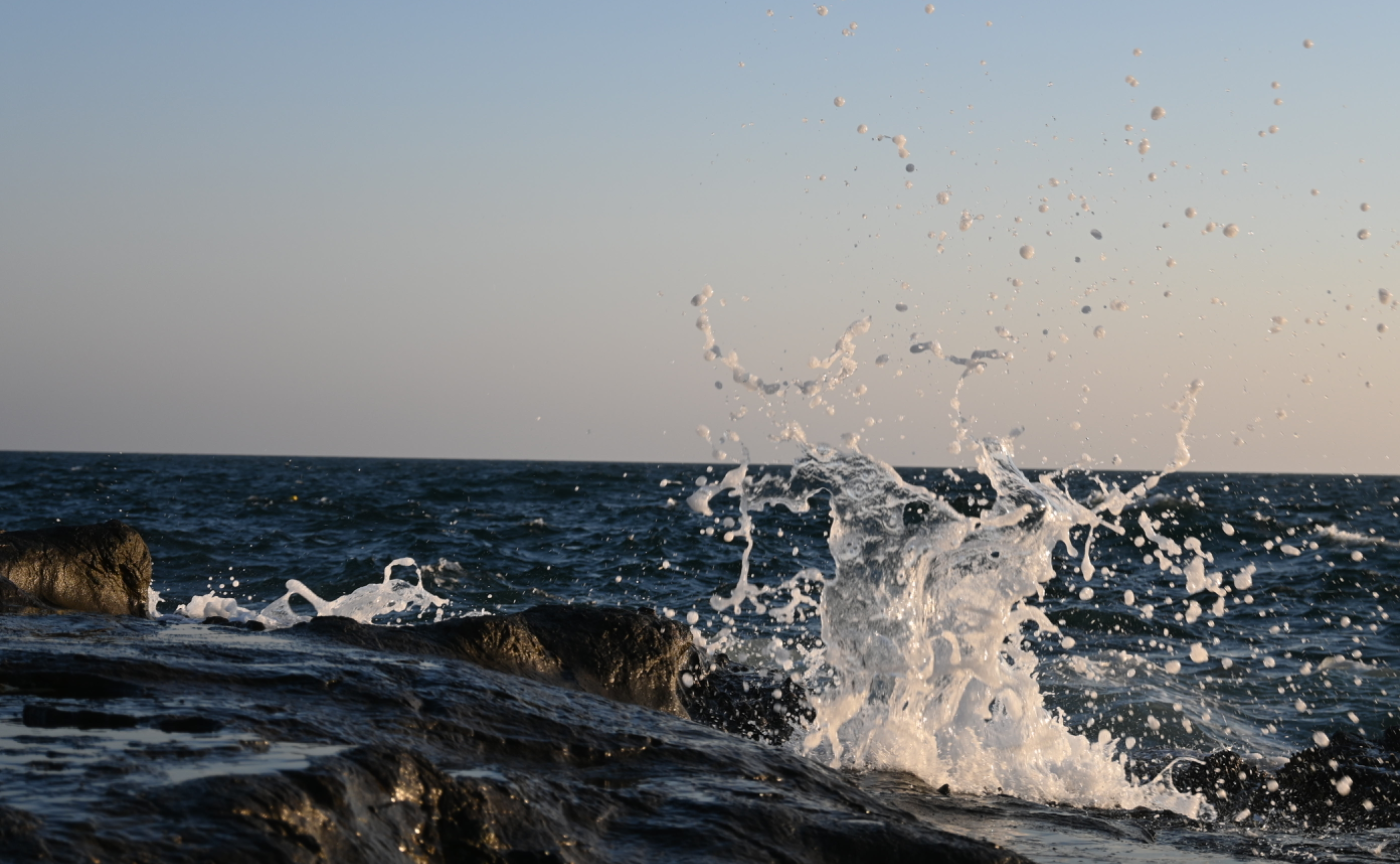 鎌倉写真旅行(11/4)