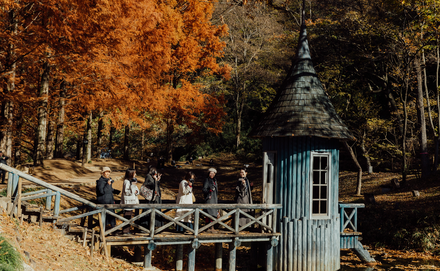 トーベ・ヤンソンあけぼの子どもの森公園と入間川散策イベントレポート🍂