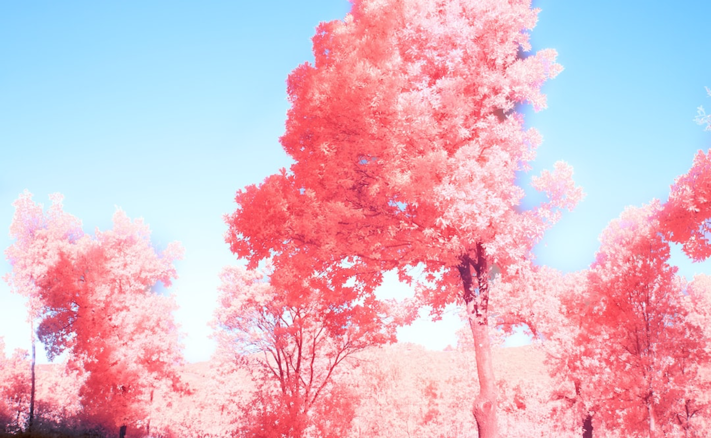 23年棚卸し!自分を振り返ってみました Part1 身を置く場所を考える