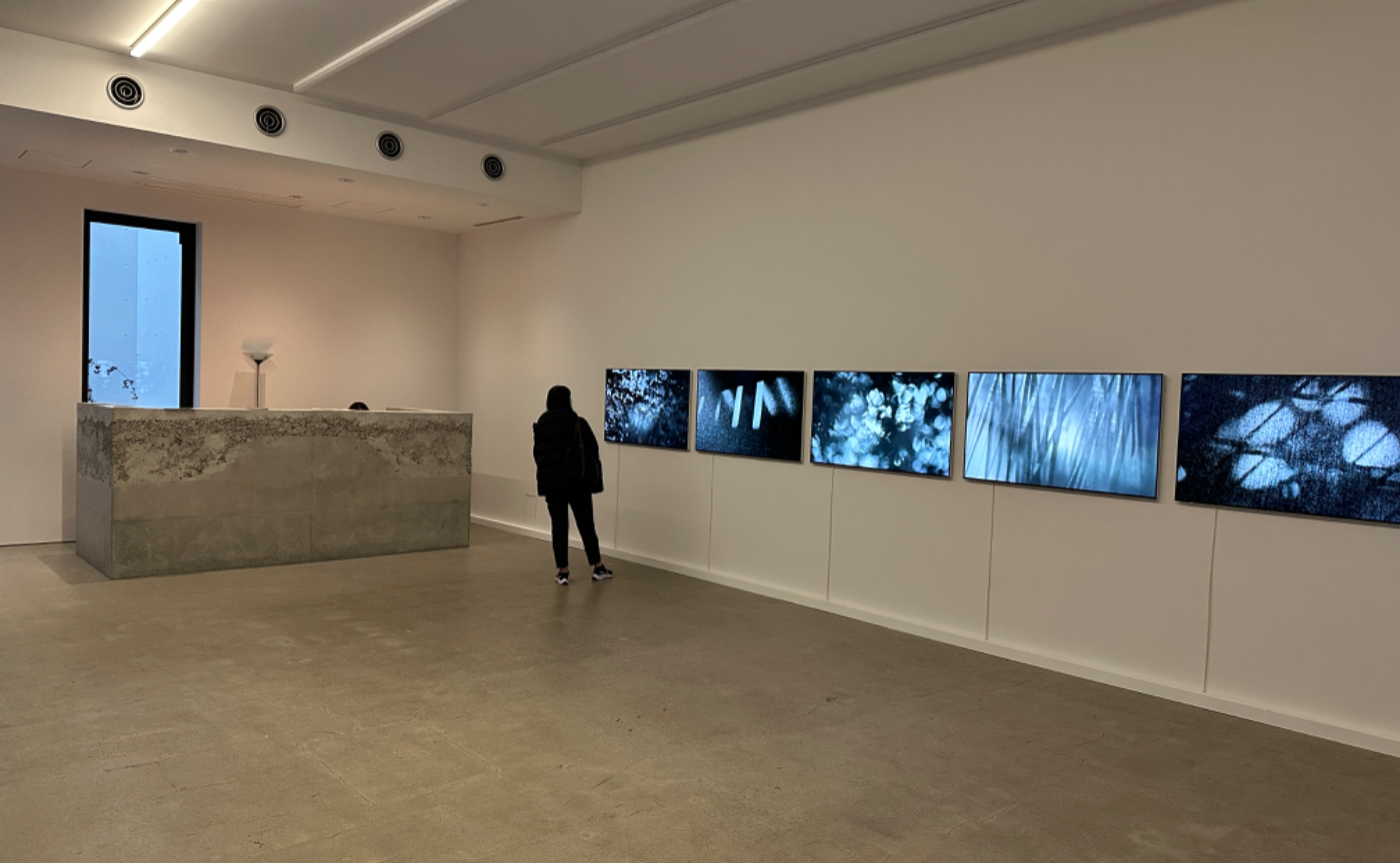 【perfect daysの余韻に浸る】