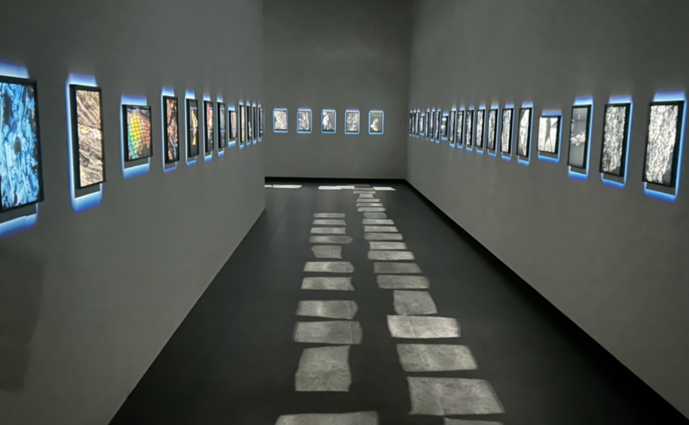 さて、心理ゲームのお時間です。