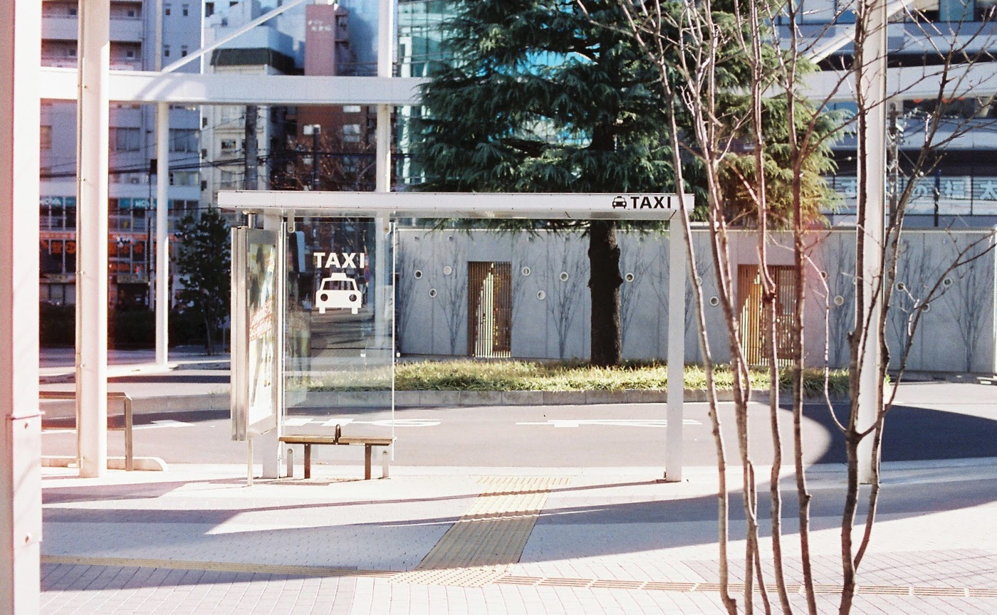 フィルムカメラでゆるっとフォトウォーク レポート