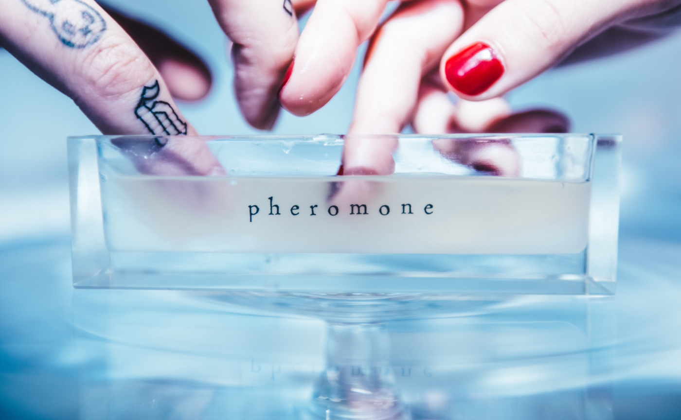 Bedin 先行発売 2/12 Dresser by ALBION 恵比寿アトレ5階