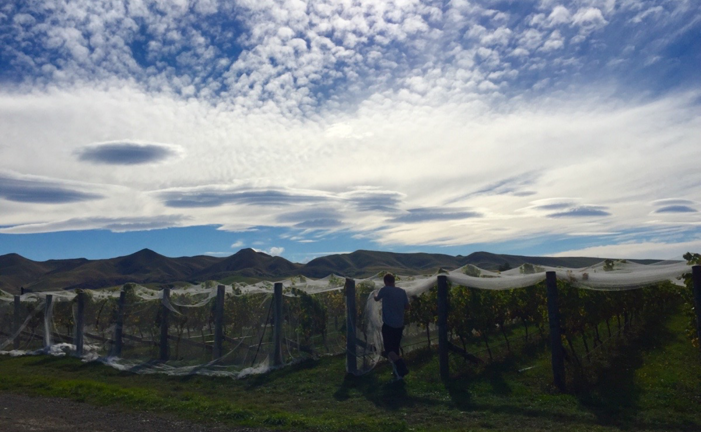 2月18日コラボワイン会開催