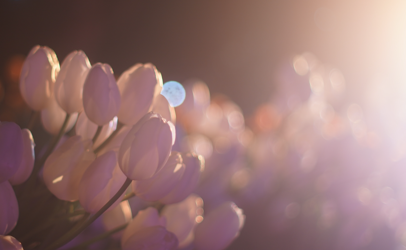 初めてのオールドレンズ🔰