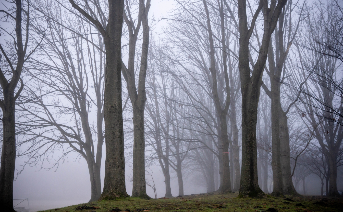 マイケル・チミノ監督『ディア・ハンター』(1978)
