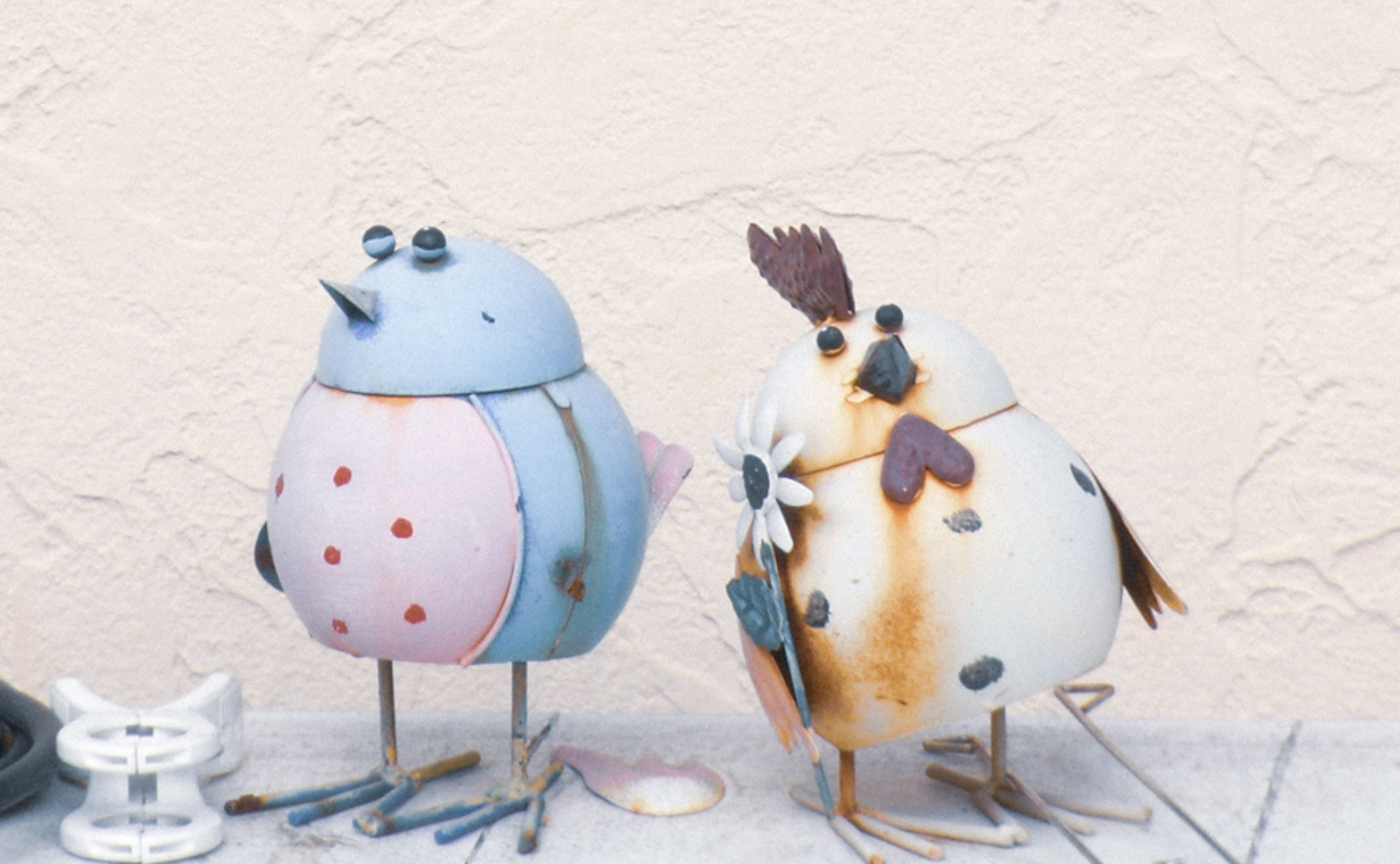 オールドコンデジも流行っているのか…