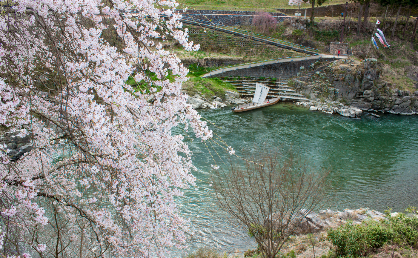 【長野】飯田市の桜をめぐる、camell限定１泊２日のスペシャルツアー