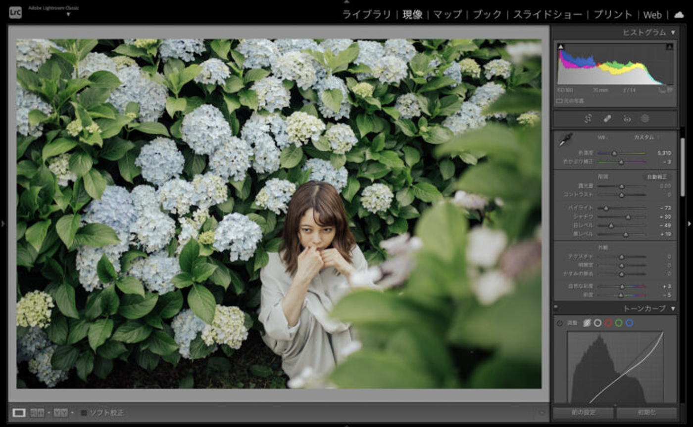 Lightroom＆Photoshop研究部 ＼発足!!／ ①「LightroomとLightroom classicの違いってなんだろう？」