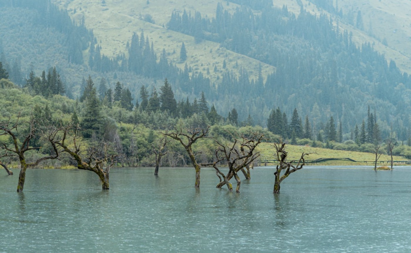 【阿蘇合宿・参加メンバー限定】旅まえオンライン交流会！
