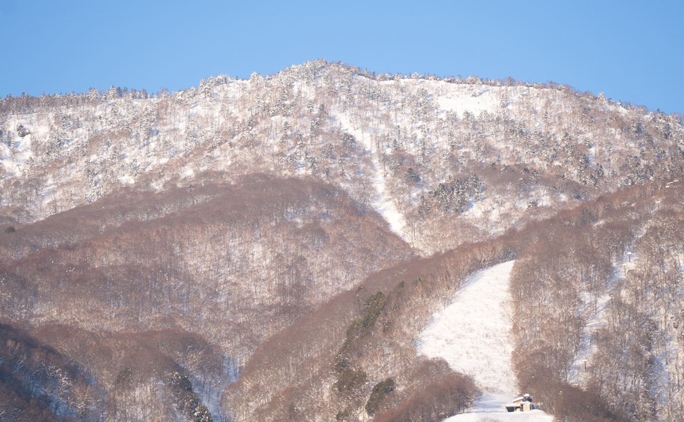写真合宿『星空撮影』　　長野・戸隠神社編