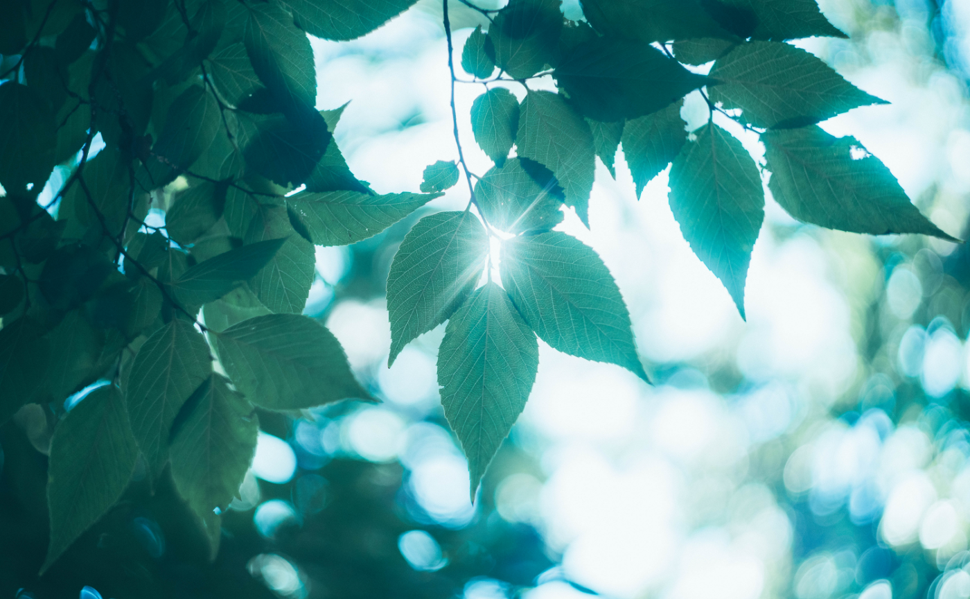 【オンライン】関東限定！やりたいことワクワク会議