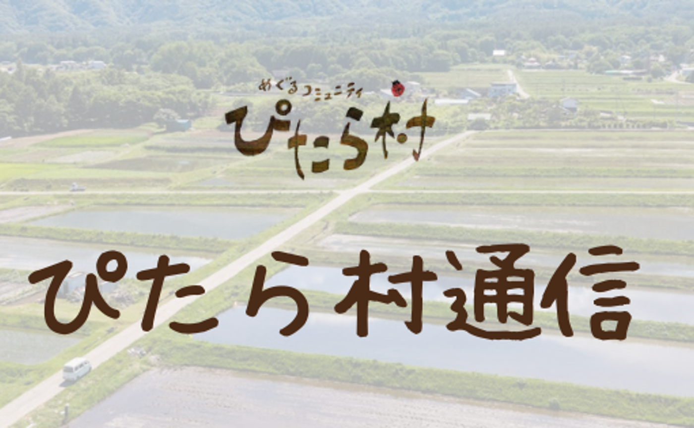 ぴたら村通信 Vol.4　3.28.2024
