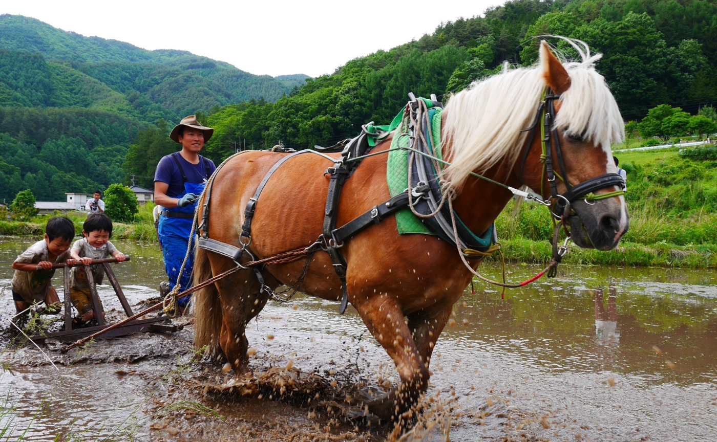 開け、五感！！【馬耕体験会】主催・雨土人しゅんたろう