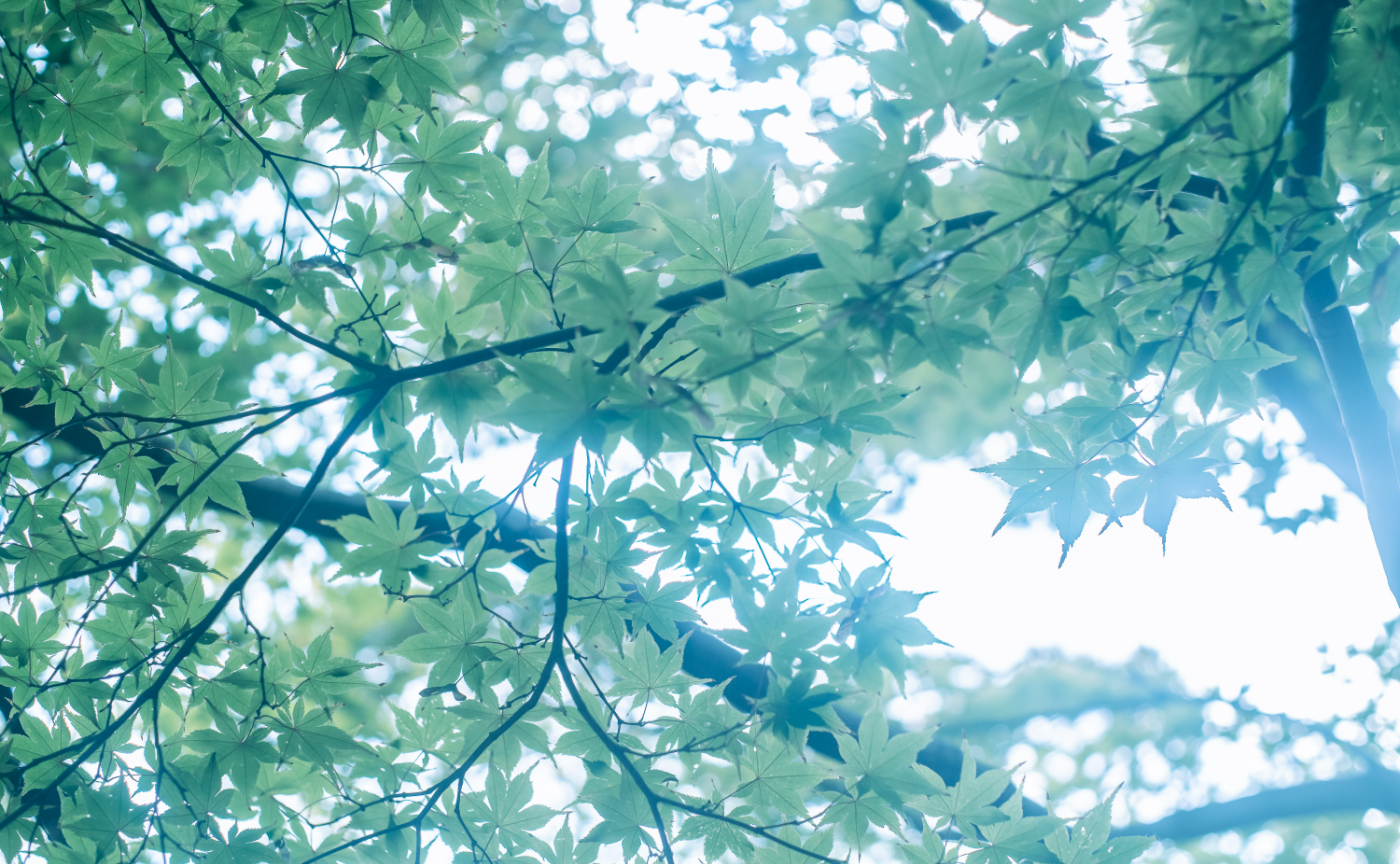 【オンライン】くらそんから学ぶ、コラボ講座