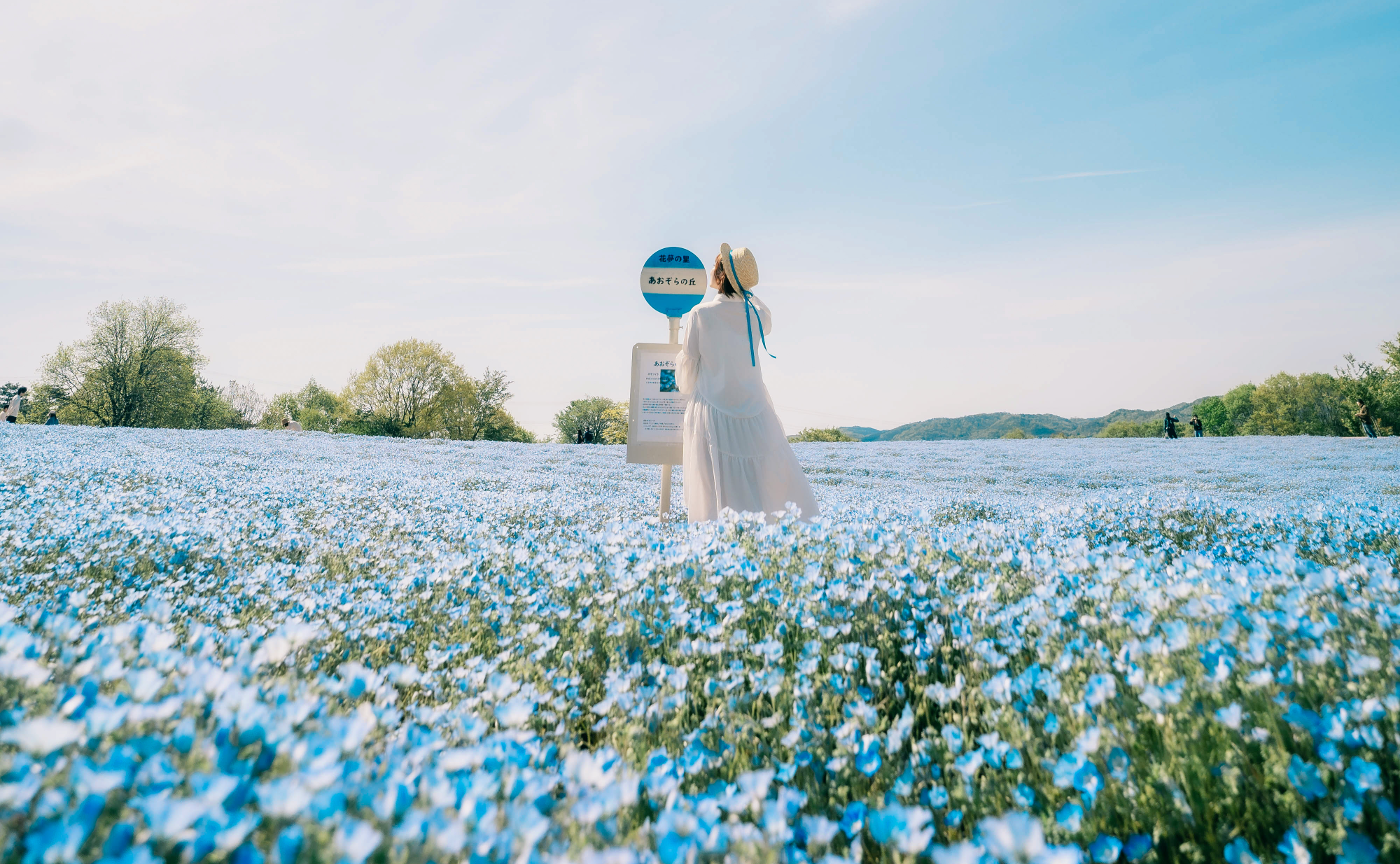 【夜の写真トーク会】広角レンズを使って、美しい四季の絶景でポートレートを撮るフォトグラファー・まつかず。さんを招いた夜の写真トーク会！