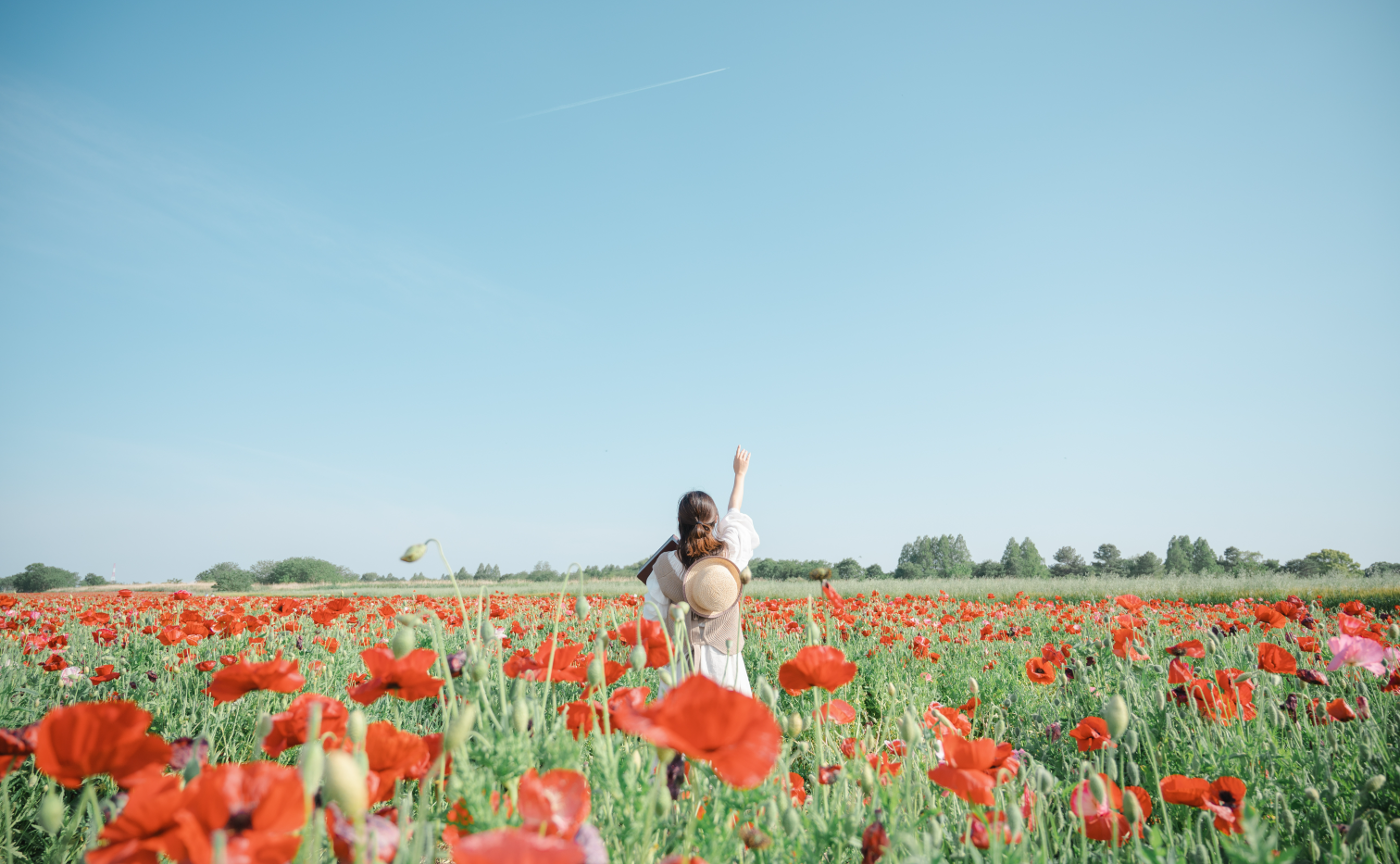 【東京】小春ハルカさんから学ぶ ソフトフィルター＆春のお花撮影会🌸 supported by  NiSi