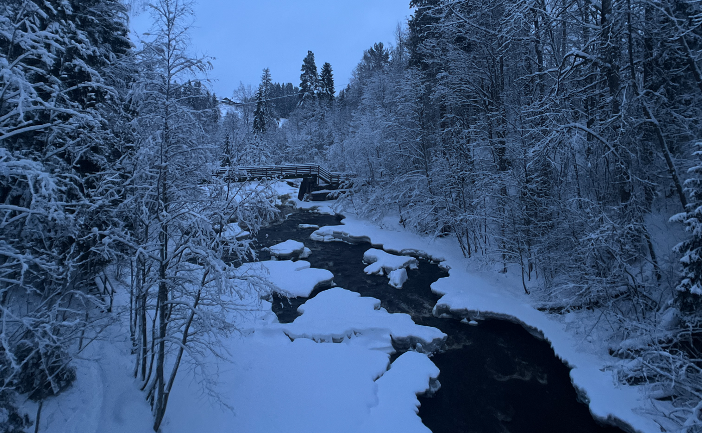 エストニアからフィンランドに移住しました🇪🇪🇫🇮
