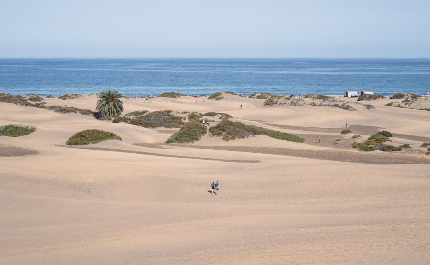 トップレス・サピエンス -ままならず螺旋する-