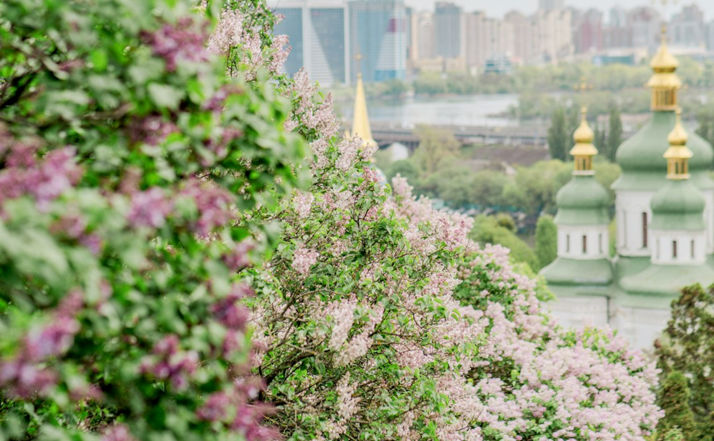 固定資産税の基礎（土地編②）