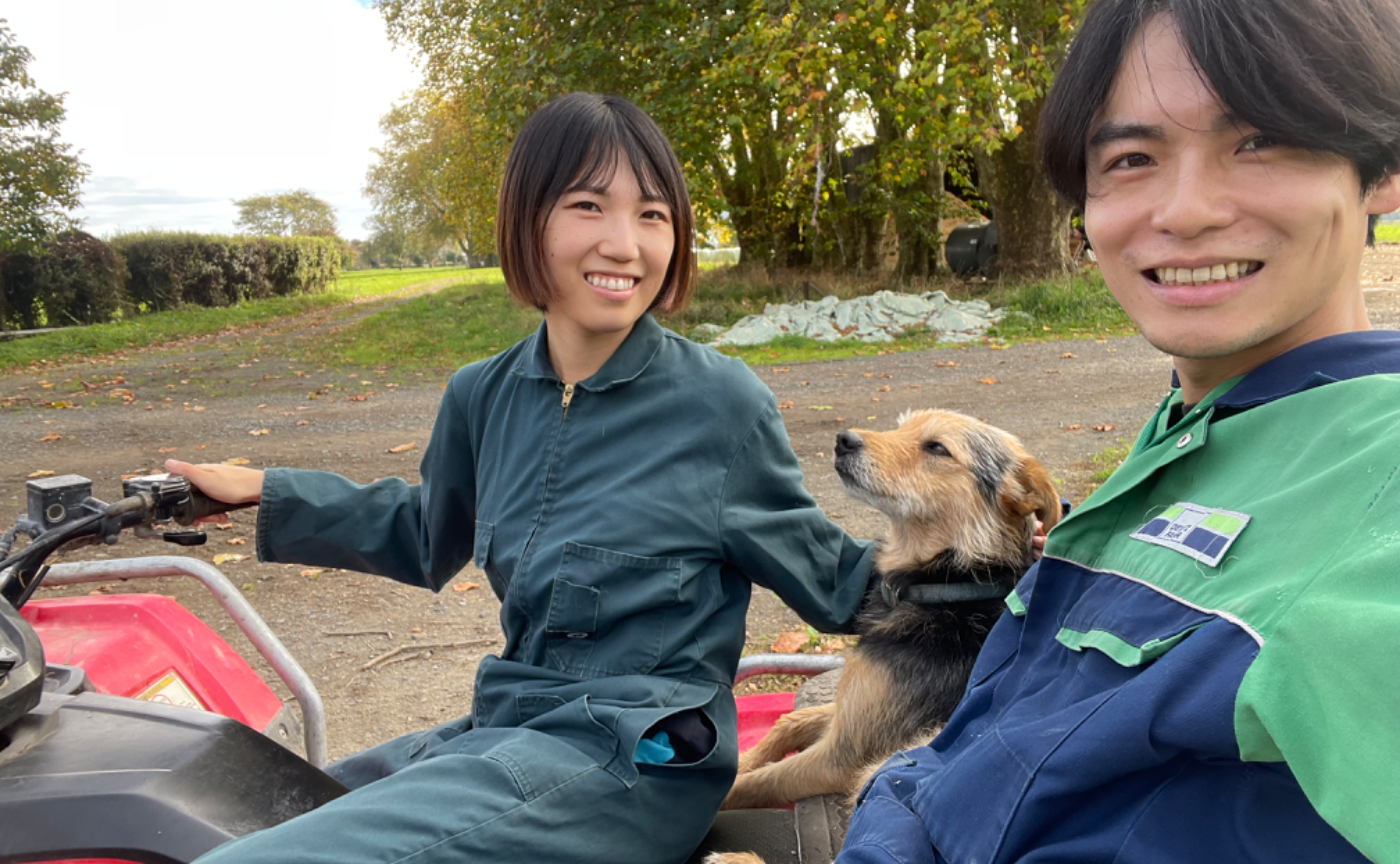 NZワーホリ🇳🇿WWOOF生活始めました🐮