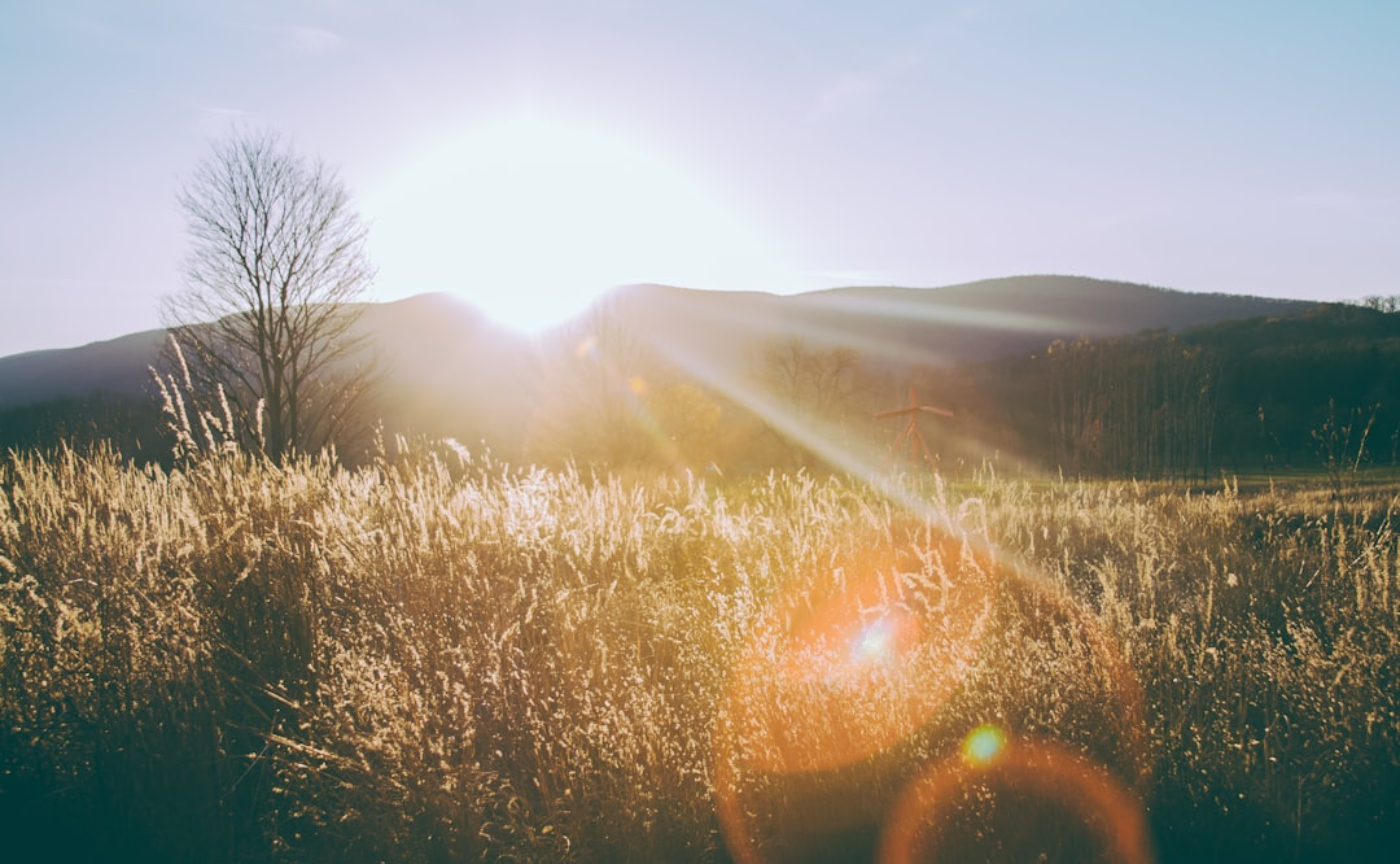 オオサチのLQ357