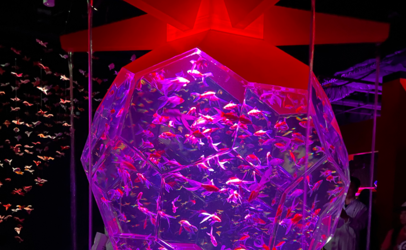 アートアクアリウム銀座