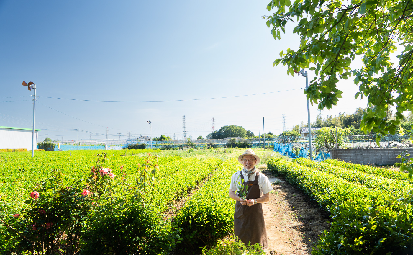 SDGsなお洒落カフェと茶摘み体験