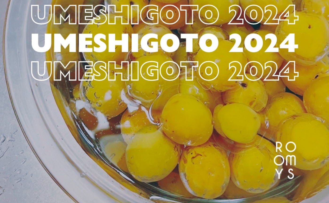 【仙台】UMESHIGOTO2024〜梅シロップ/梅干し作り