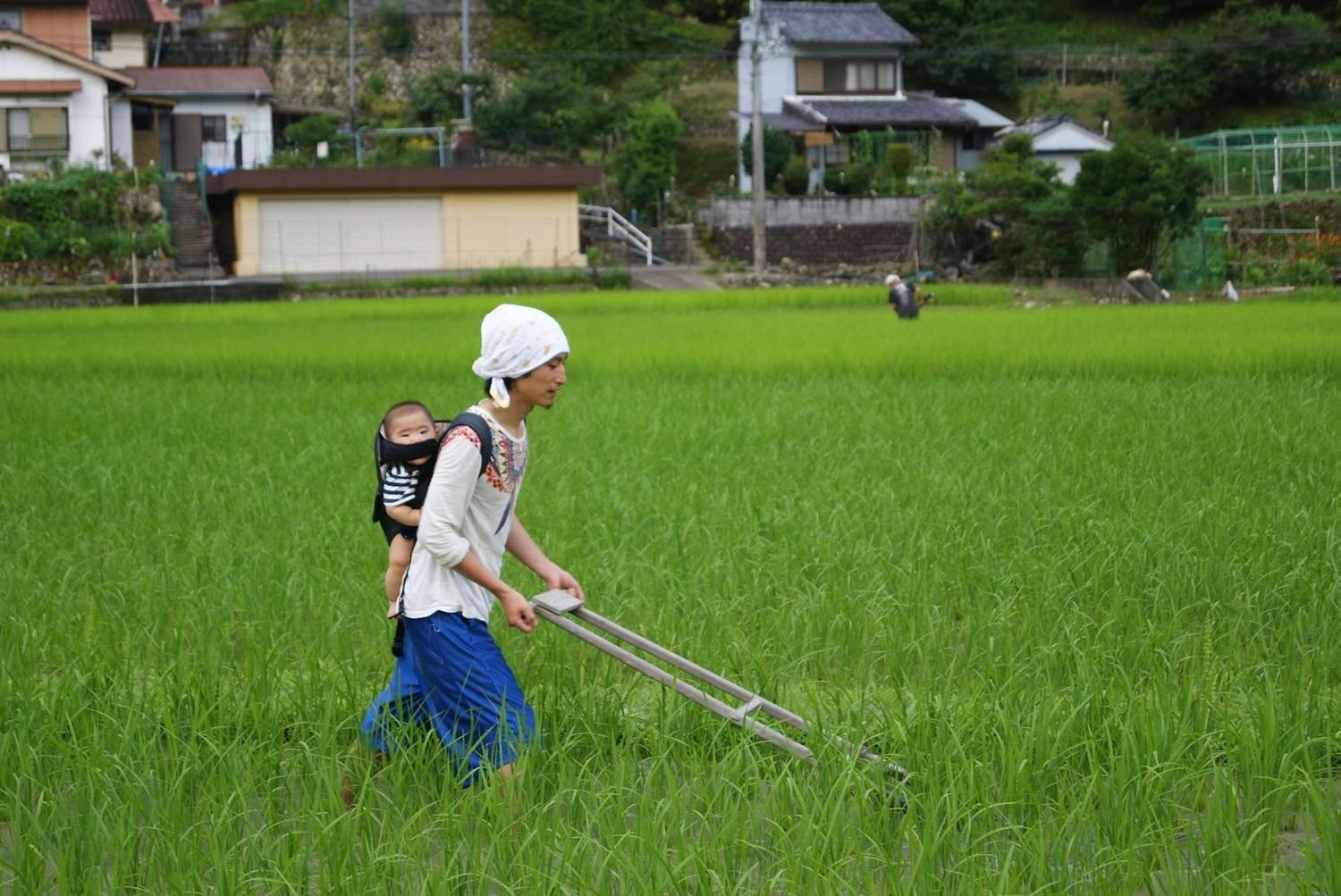 遅くなりました、モーリーです。