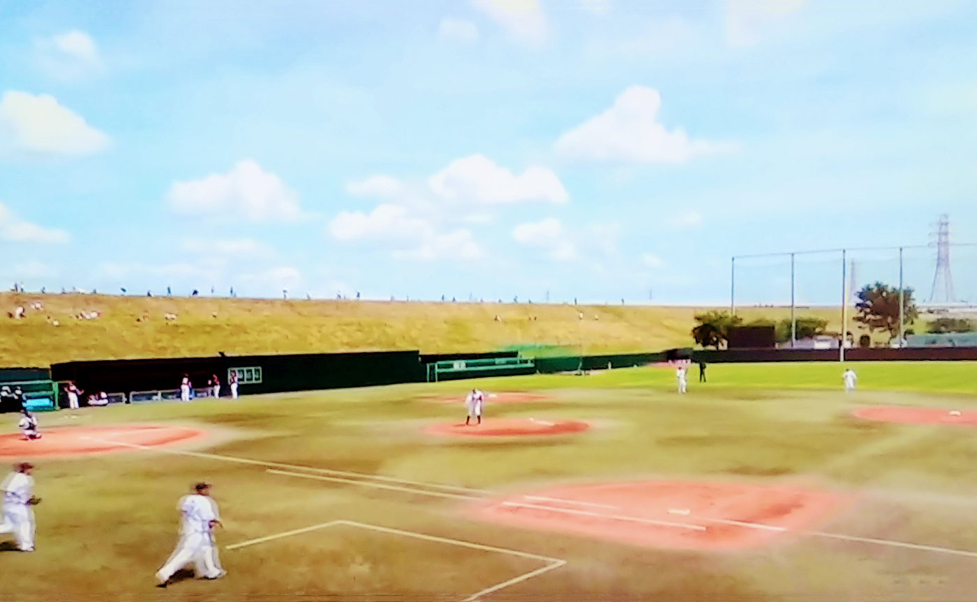 【ホームランコース2024】前略 スワローズファンの夫さま