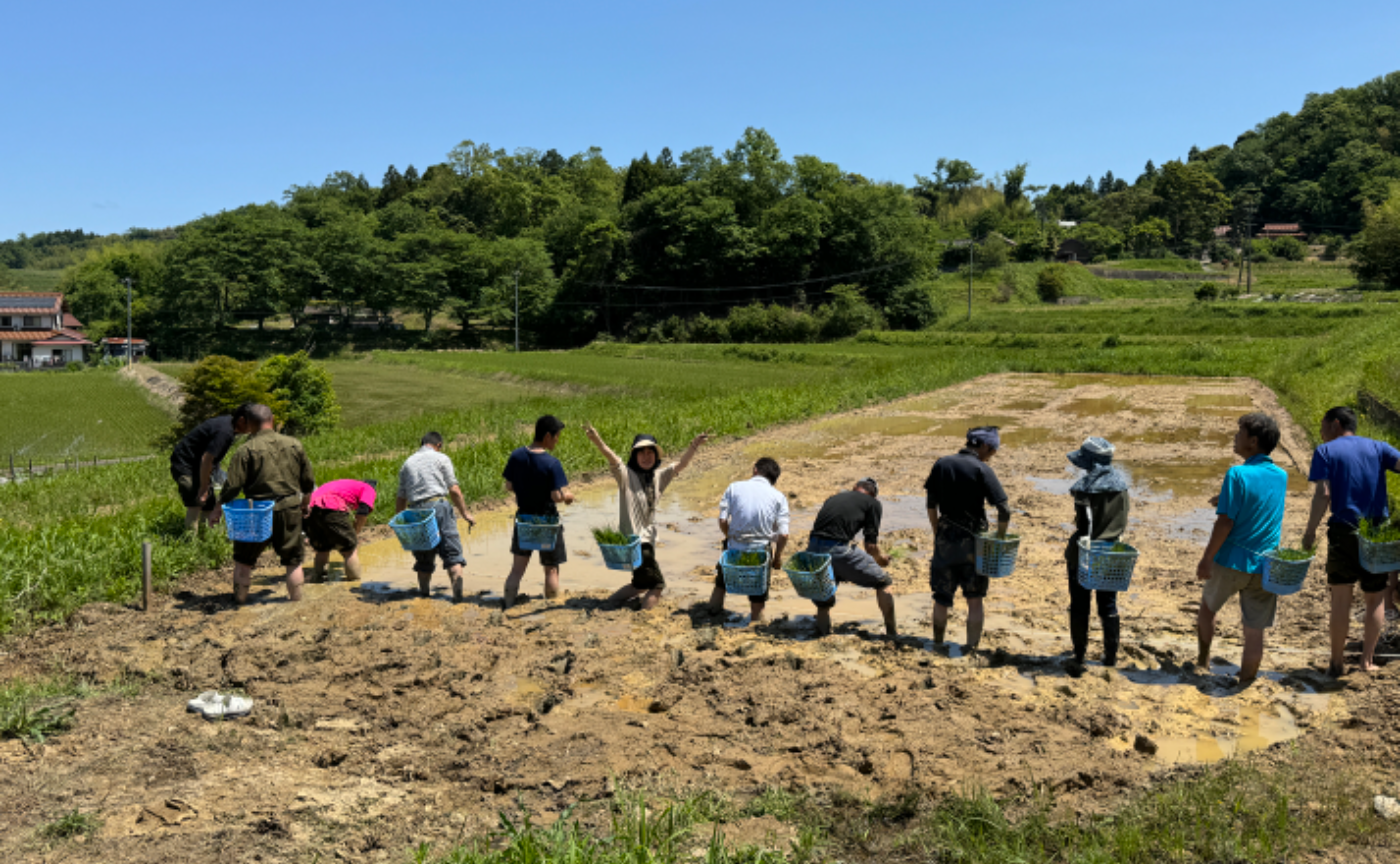 島根の在来種「亀治米」田植え
