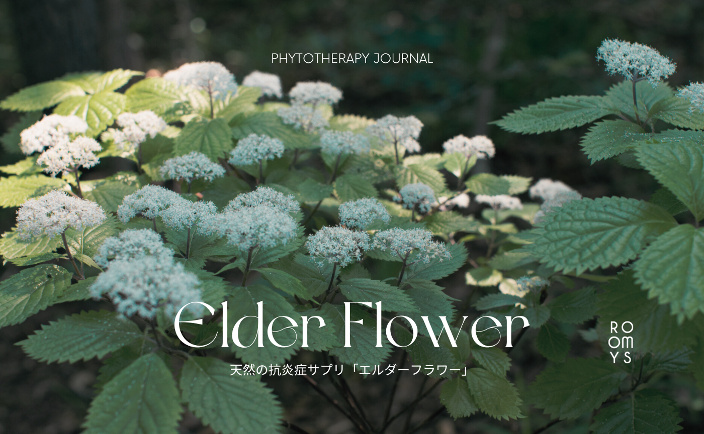 天然の抗炎症サプリ「エルダーフラワー」