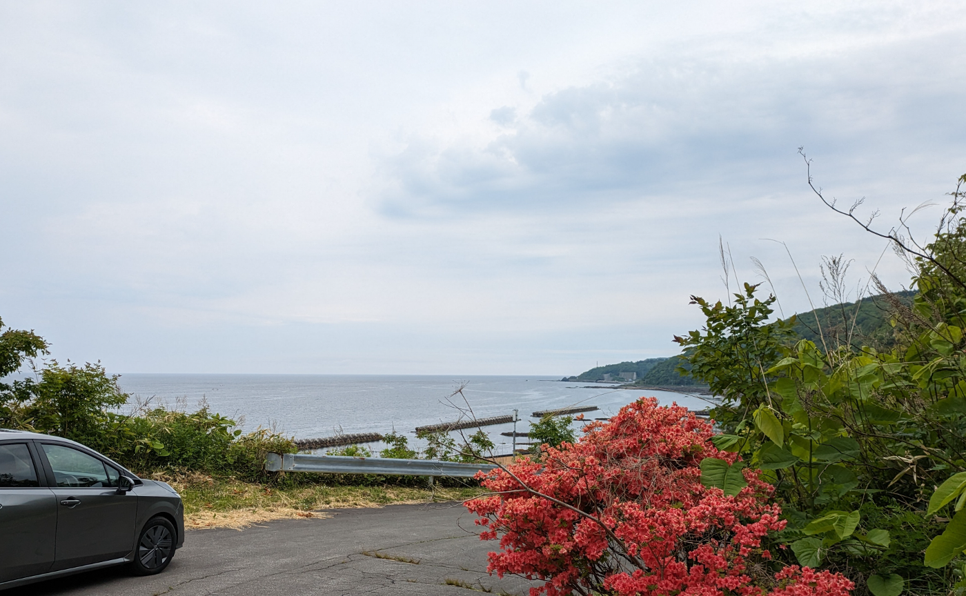 【ホームランコース2024】漁師の息子のクジラを巡る物語