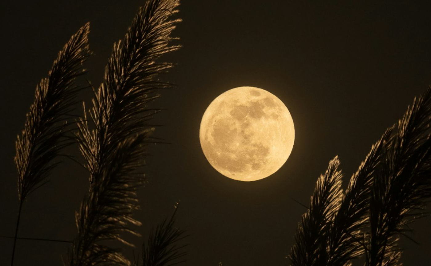 満月のきゅんトレ〜感謝で満ちるアプリシエーション