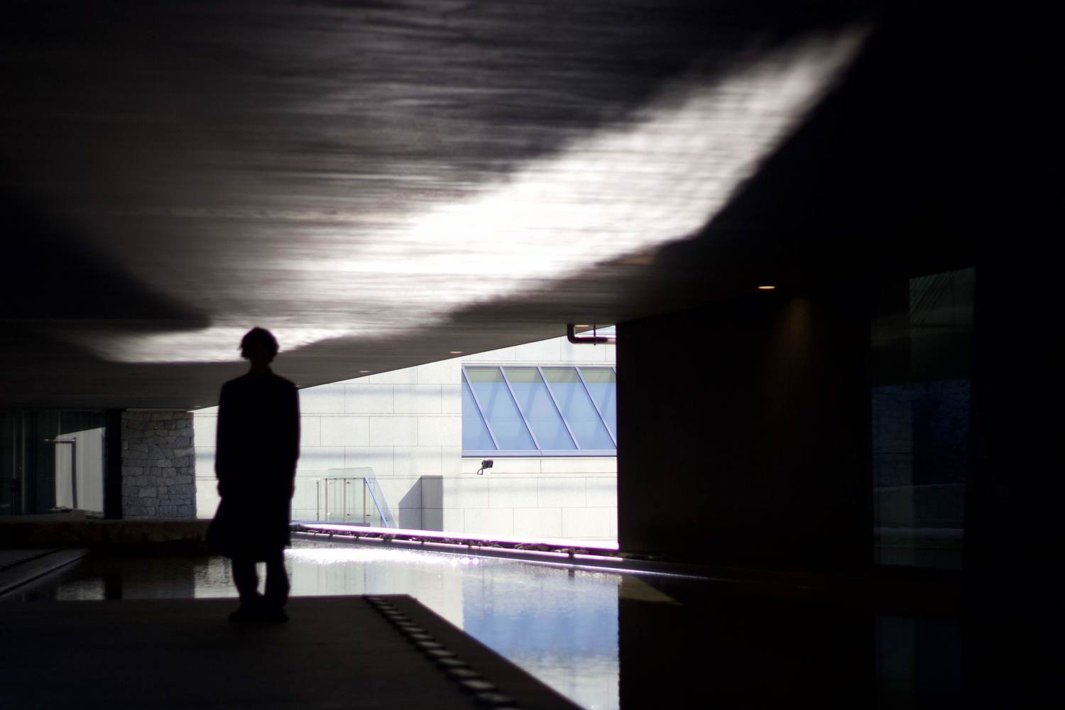 削ぎ落とし、研ぎ澄ます。