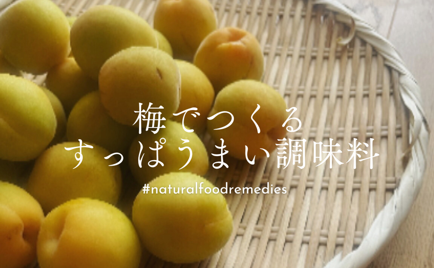 梅でつくるすっぱうまい調味料