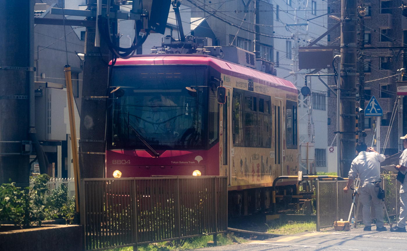 レトロな町並みにぴったり！「都電」と「紫陽花」