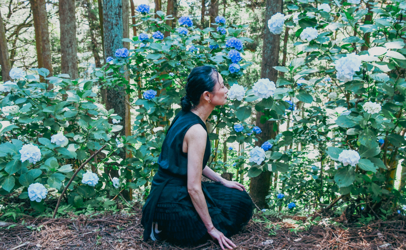 【開催レポ】今年もあじさい屋敷へ行ってきました