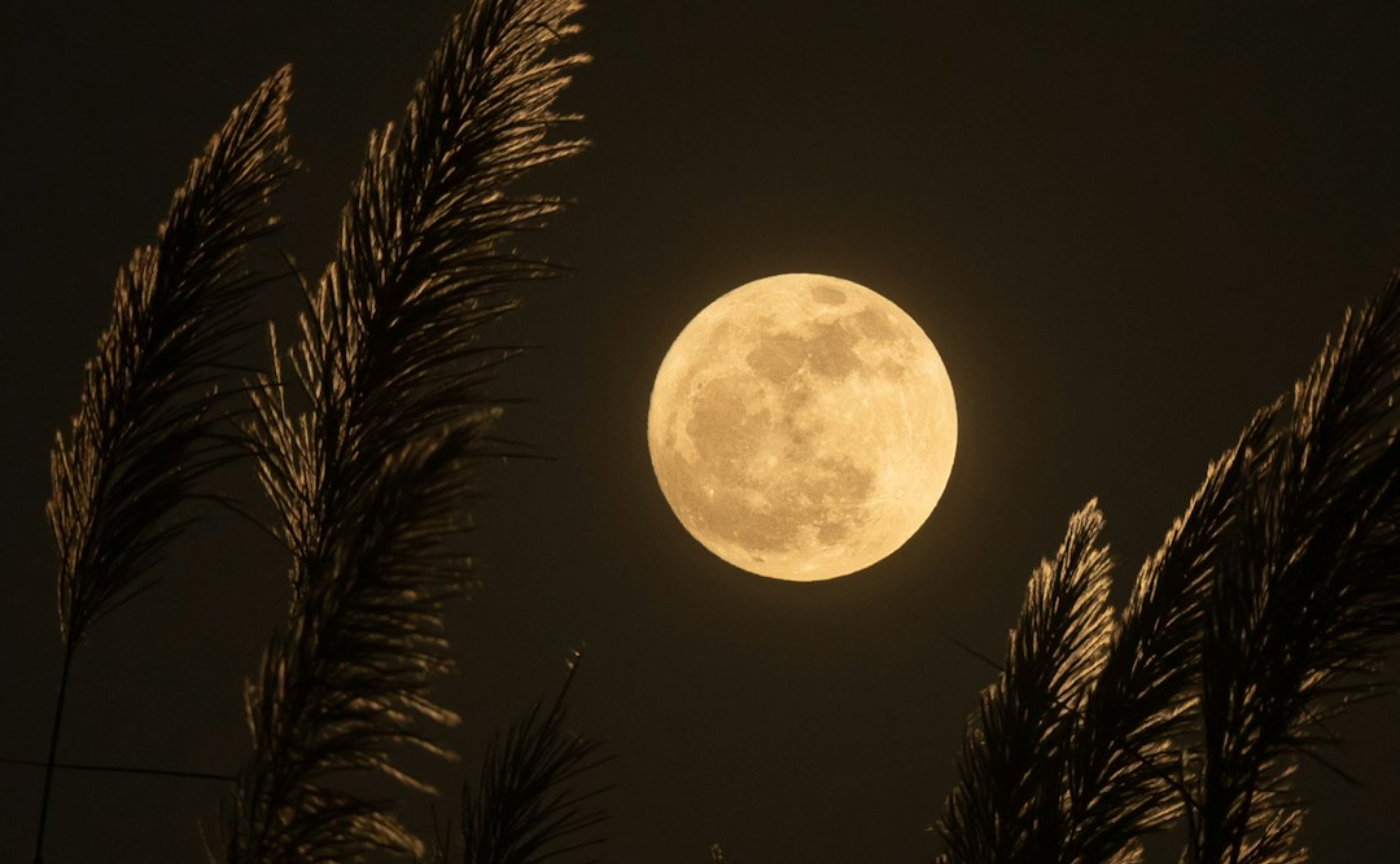 自分を愛するための新習慣で、愛の眼差しを育てよう〜満月と新月のきゅんトレ〜