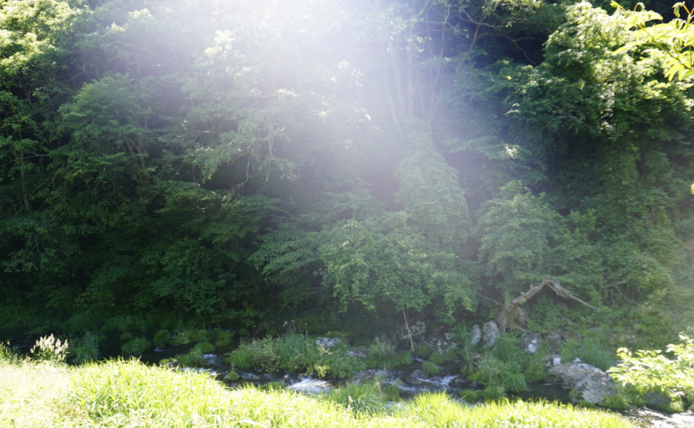 【日曜!参加者募集】恒例のタロット&メッセージカード企画!