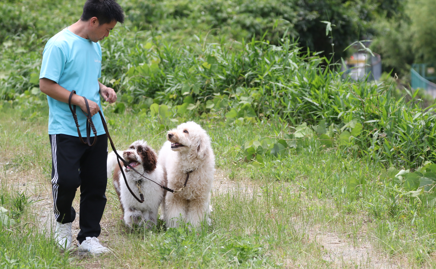 【必読！】１日５０粒チャレンジってどういう活動なのか☆