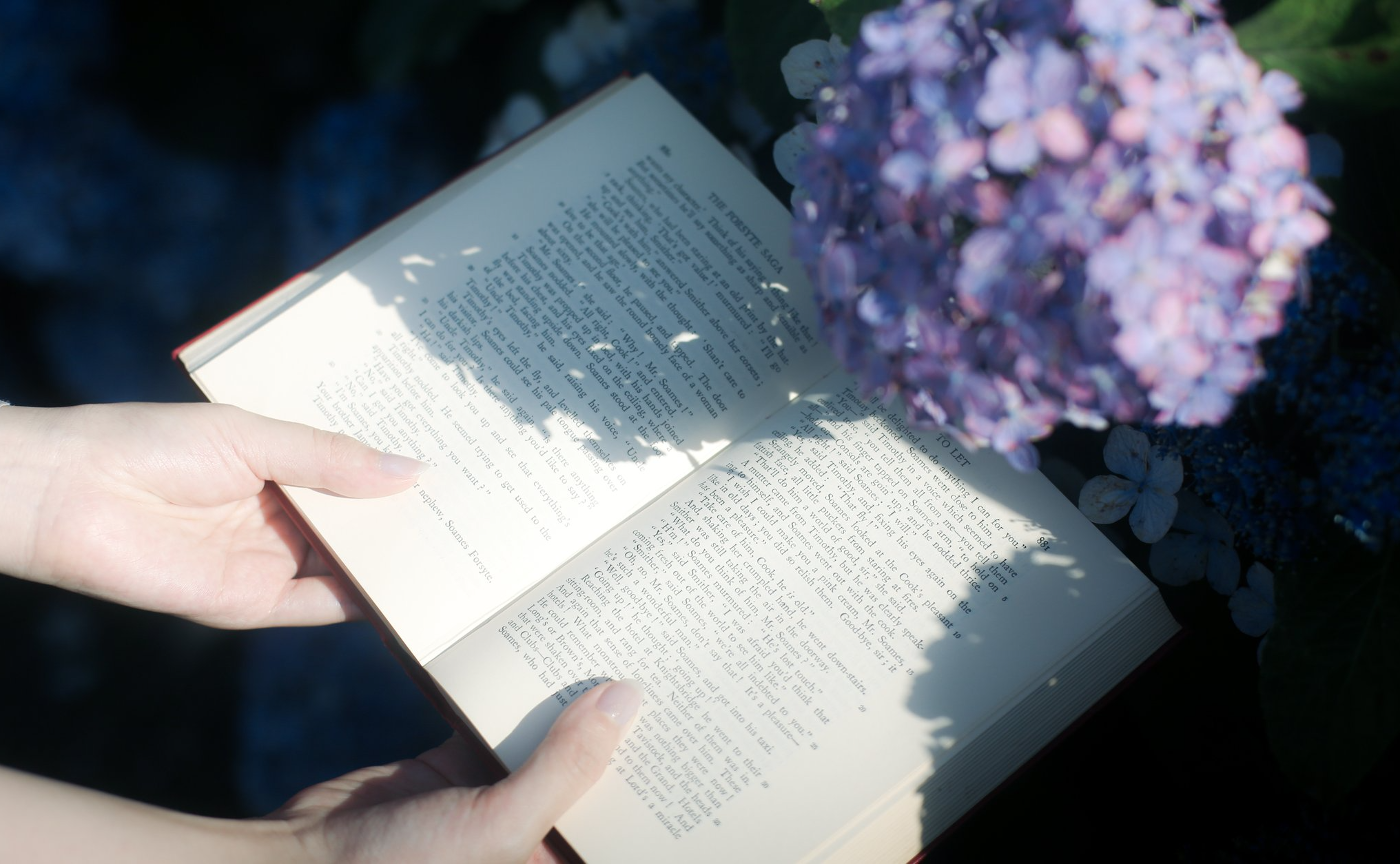 【東京】紫陽花撮りに行こうレポート②