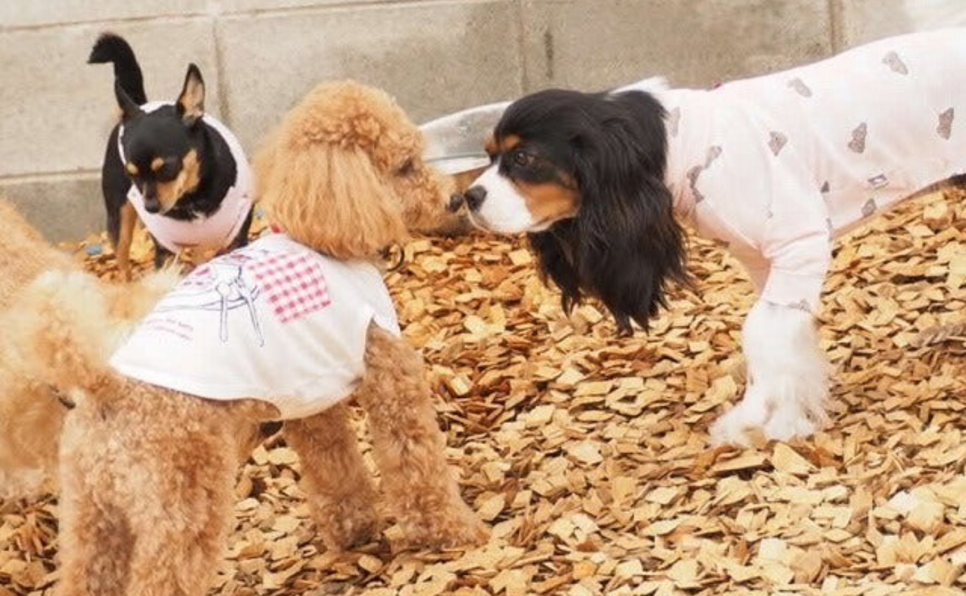 【自分から一歩動けるように工夫する】