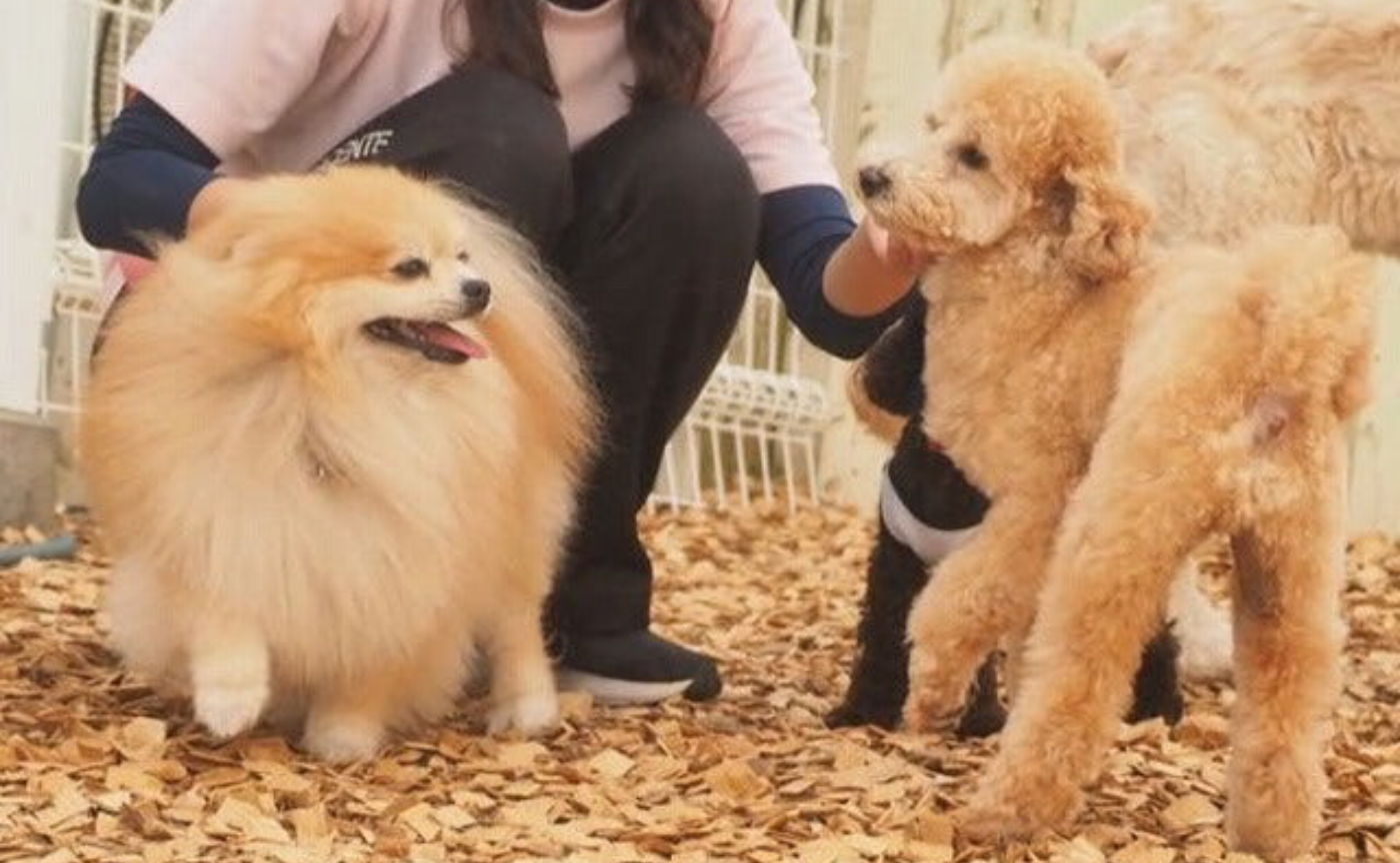 【超オススメ！自主性の効果的な高め方】